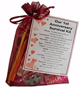1st Anniversary Survival Kit Gift - Great novelty present for First anniversary or wedding anniversary for boyfriend, girlfriend, husband, wife
