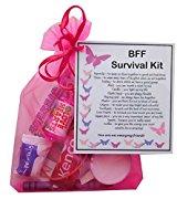 BFF Survival Kit Gift  - BFF Gift, Ideal birthday gift for Friend, excellent Friendship gift, BFF present, present for BFF, BFF Gifts for Friend