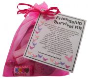 Friendship Survival Kit-Great BFF present for Birthday, Christmas or just because?