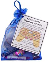 Gamer's Survival Kit Gift  - Small Novelty gift