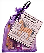 Horse Rider's Survival Kit Gift  - Small Novelty gift