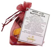 New Job Survival Kit Gift-The perfect way to say Congratulations