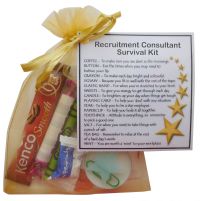 Recruitment Consultant Survival Kit Gift  - New job, work gift, Secret santa gift for colleague