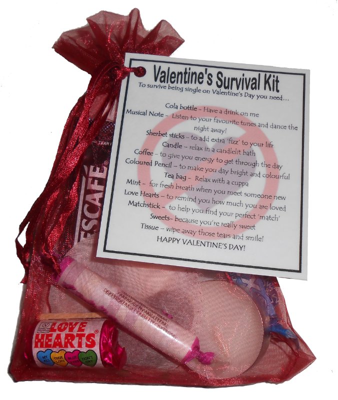 Single Person's Valentine's Day Survival Kit Gift Great way to cheer