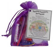 * Childminder Survival Kit Novelty Keepsake Gift Personalised Option 