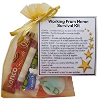 Working from Home Survival Kit  - Novelty Gift for Home Worker, Secret Santa, Christmas Work Gift