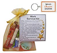 'Worlds OKayist Employee' Keyring and Work Survival Kit Gift Set for Secret Santa, Work Secret Santa Gifts, Work Gifts - 
