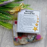 Manager Survival Kit Gift  - New job, work gift, Secret santa gift for manager
