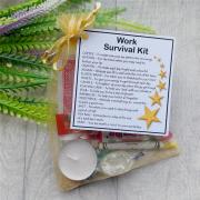 Work Survival Kit Gift - New job, work gift, Secret santa gift for colleague