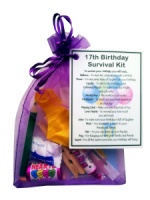 17th Birthday Survival Kit : 