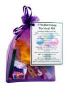 17th Birthday Survival Kit : 