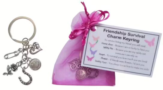 Friendship Survival Charm Keyring - Handmade Friendship Gift for Friendship
