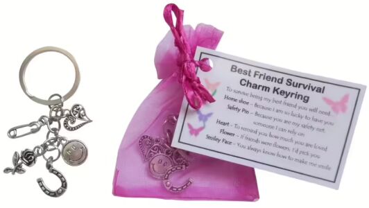 Handmade best friend survival charm keyring with pink organza bag, featuring horseshoe, safety pin, heart, flower and smiley face charms