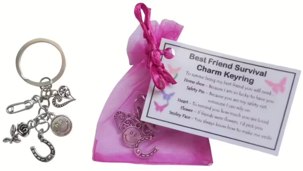 Handmade best friend survival charm keyring with pink organza bag, featuring horseshoe, safety pin, heart, flower and smiley face charms