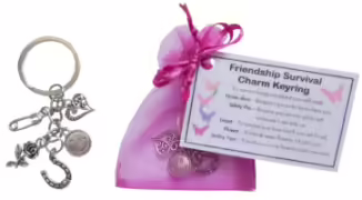 bff-friendship-best-friend-survival-charm-keyring-or-bag-charm----friend-gift-fo-5684-4636-1