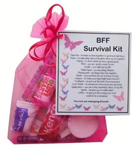 Hand-made BFF survival kit gift in pink organza bag with laminated label explaining each item's meaning