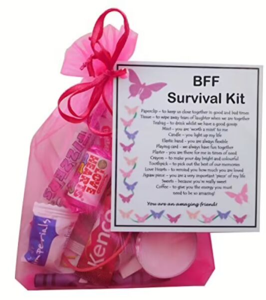 Hand-made BFF survival kit gift in pink organza bag with laminated label explaining each item's meaning