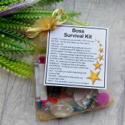 Boss Survival Kit Gift - New job, work gift, Secret santa gift for the boss