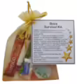 Boss Survival Kit Gift  - New job, work gift, Secret santa gift for the boss
