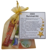CEO Survival Kit Gift (New job, Chief Executive Gift, Boss Present, work gift, Secret santa gift for colleague), Yellow,13x18cm : 