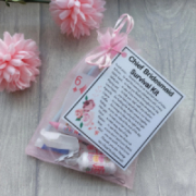 Maid of Honour / Bridesmaid Survival Kit : novelty gift,unique thoughtful,survival kit gift,sentimental gift,wedding gift,wedding day,wedding morning gift,thank you wedding,wedding party gift,wedding thank you,bridesmaid gift,maid of honour gift,bridesmai