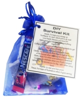 DIY Survival Kit : 