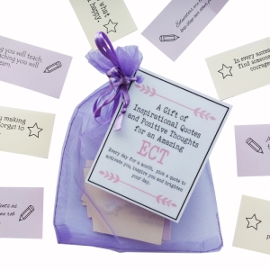 Handmade ECT quote gift with 31 inspirational messages in purple and cream coloured organza bag, early career teacher new job gift