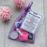 ECT Survival Kit Novelty Gift : novelty gift,unique thoughtful,survival kit gift,sentimental gift,good luck new job,secret santa,work secret santa,ect gift,thank you ect,end of term gift,christmas gift,teacher gift,early career teacher
