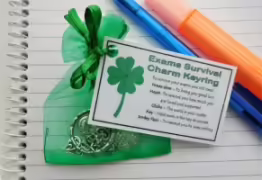 exams-survival-charm-keyring---handmade-good-luck-gift-for-exams-gcses-a-lev-1660-8167-1
