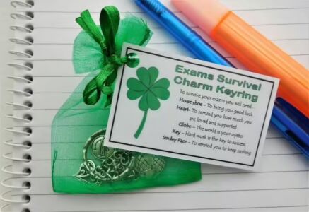 Exams Survival Charm Keyring - Handmade good luck gift for exams, GCSEs and A-Levels with horseshoe, heart, globe, key and smiley face charms