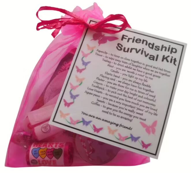 Friend Survival Kit in a pink organza bag, a handmade novelty friendship gift ideal for birthdays, Christmas or just because
