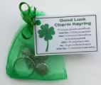 Good Luck Charm Keyring - Handmade good luck gift, lucky charm, lucky horseshoe, Good Luck gift, good luck token