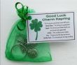 Good Luck Charm Keyring - Handmade good luck gift, lucky charm, lucky horseshoe, Good Luck gift, good luck token