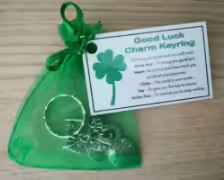 good-luck-charm-keyring---handmade-good-luck-gift-lucky-charm-lucky-horseshoe-go-182-7408-1