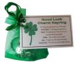 Good Luck Charm Keyring - Handmade good luck gift, lucky charm, lucky horseshoe, Good Luck gift, good luck token