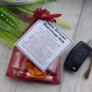 new-driver-survival-kit-1-1729096426