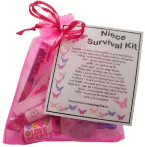 Niece Survival Kit Gift in pink organza bag with laminated label explaining each symbolic item