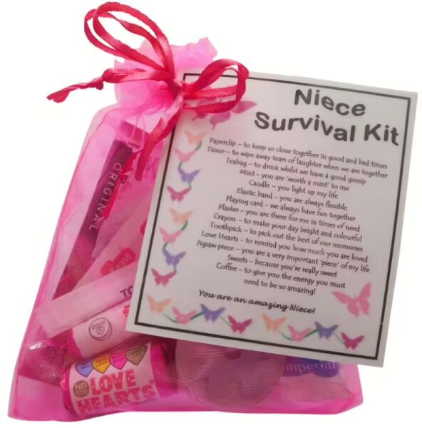 Niece Survival Kit Gift in pink organza bag with laminated label explaining each symbolic item