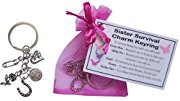 Sister Survival Charm Keyring - Handmade Sister Gift for Sister