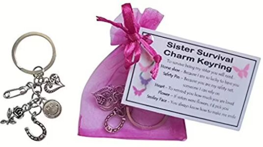 Sister Survival Charm Keyring - Handmade Sister Gift for Sister