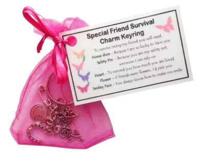 Special Friend Survival Charm Keyring - Handmade Special Friend Gift for Friend (Friend Birthday Gift, Friend Christmas Gift)