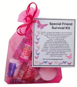 Special Friend Survival Kit Gift in pink organza bag with laminated label showing friendship-themed items and their meanings