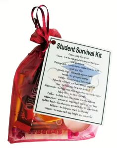 Student Survival Kit presented in a pink organza bag with a laminated label, a novelty gift for new students heading to university