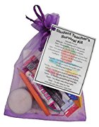 Student Teacher Survival Kit Teacher Gift - Student Teacher gift for Christmas, Srudent Teacher Secret Santa, funny student teacher gifts, thank you trainee teacher gift,