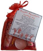 Zombie Apocalypse Survival Kit Gift - Mini Novelty Gift